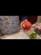 Stainless Steel Fruit Seeds Remover