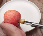 Stainless Steel Fruit Seeds Remover